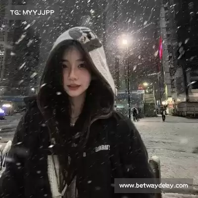 单岑舜